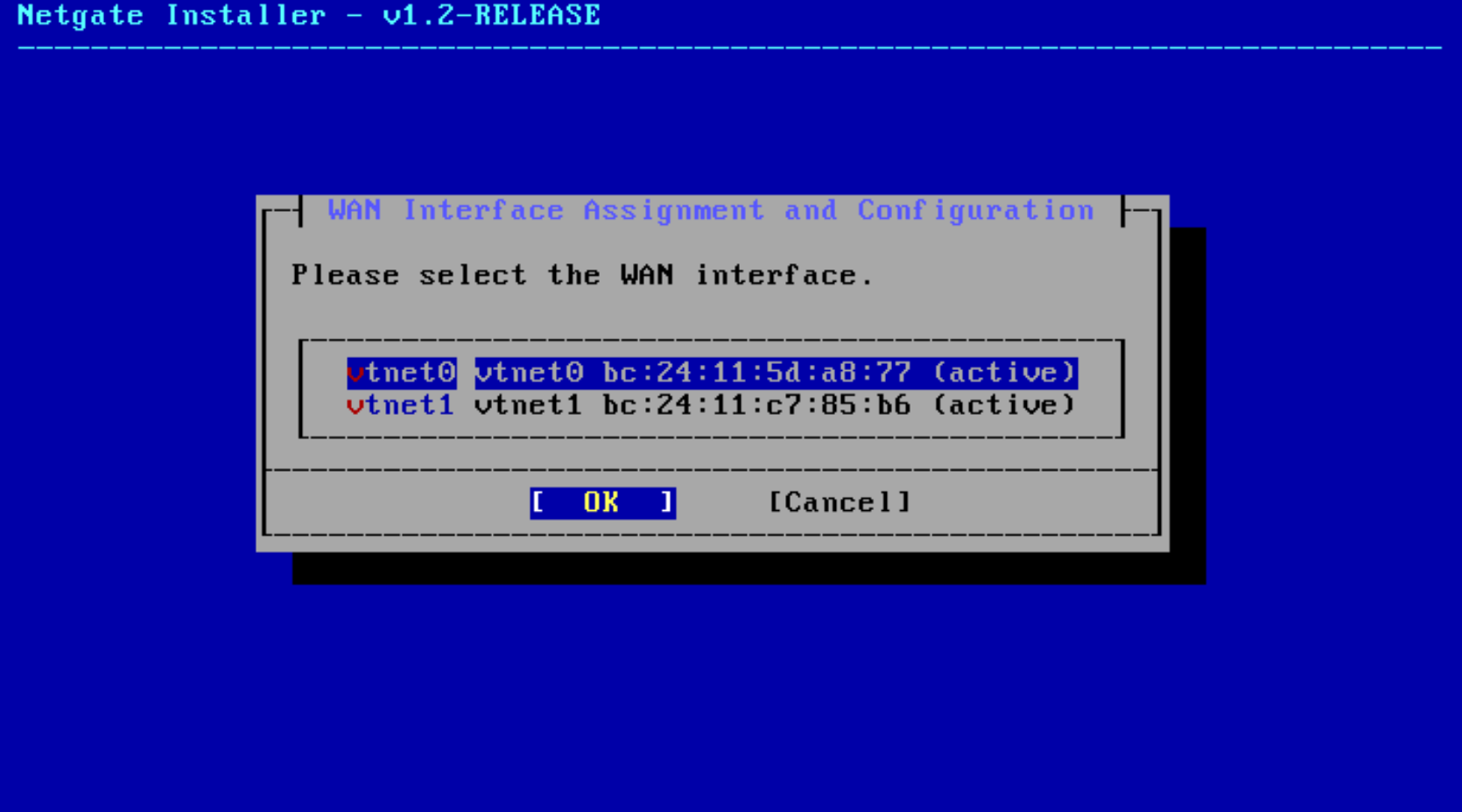 Auto ZFS selected for the installation.