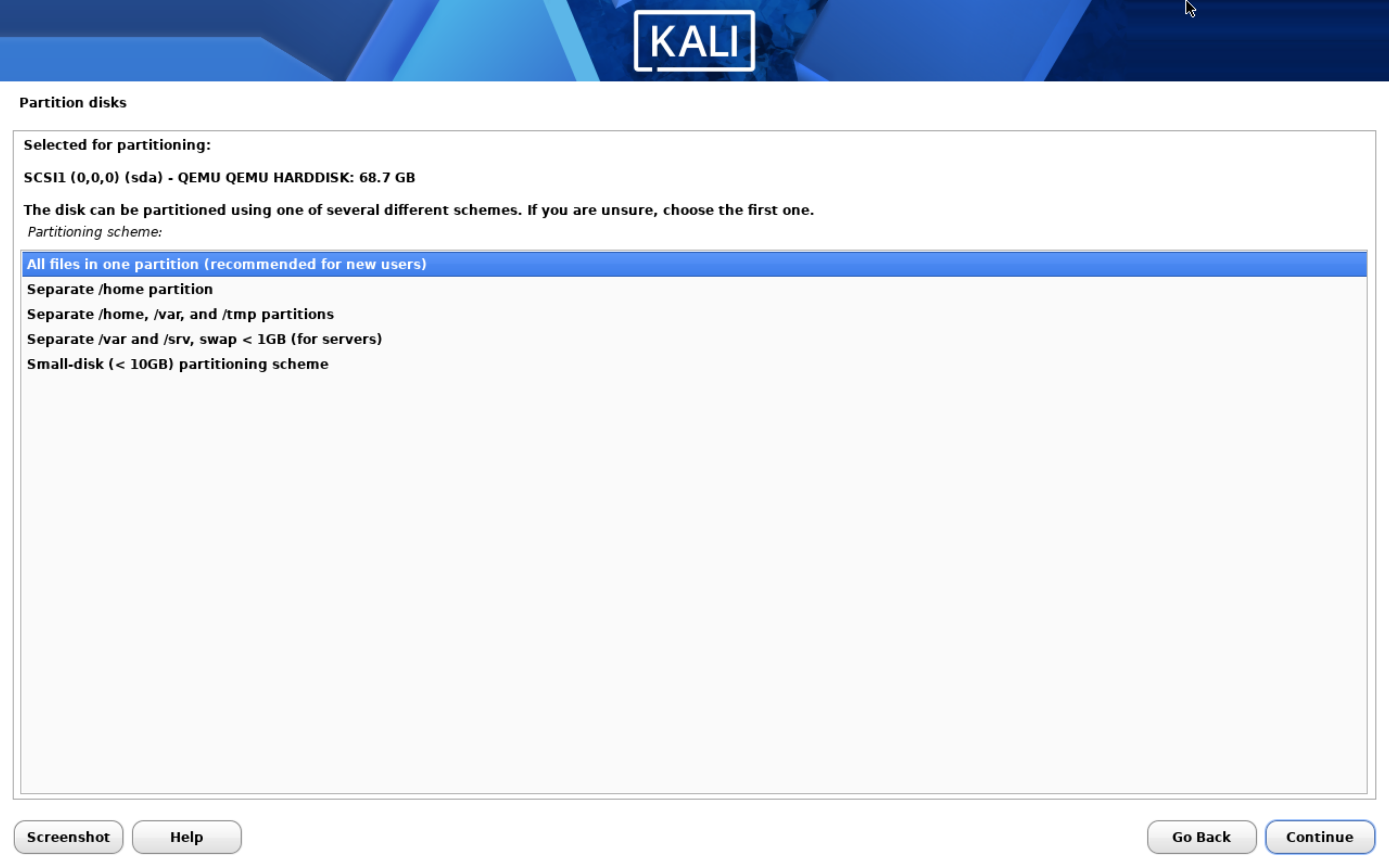 Guided disk partitioning for the Kali VM.