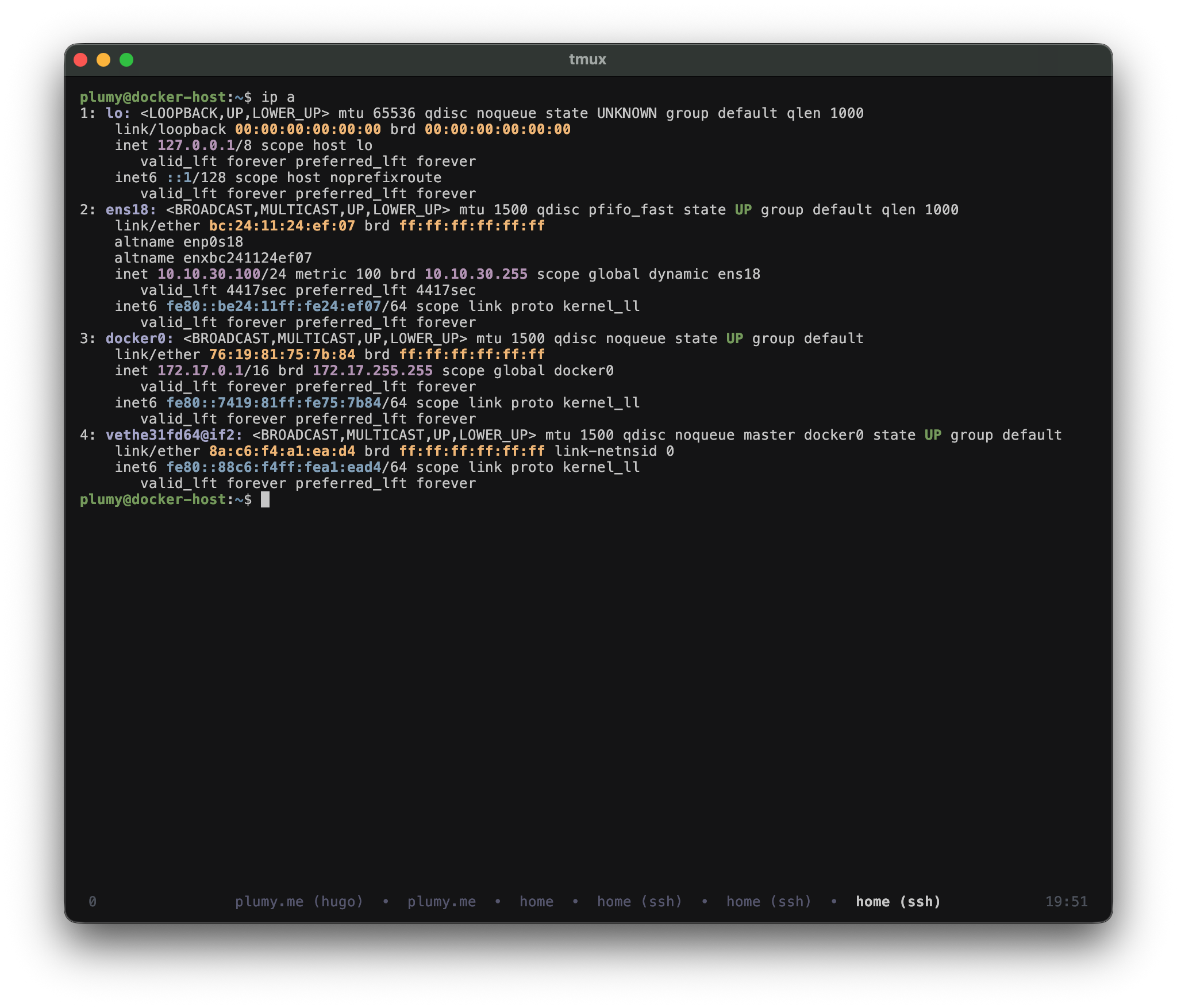 ip a on the Docker host: ens18 is the parent interface for macvlan.